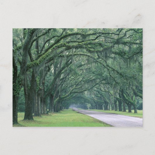 Noord-Amerika, VS, Georgië, Savannah Briefkaart (Voorkant)