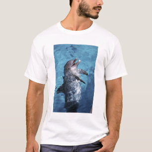 Noord-Amerika, VS, Hawaï. Dolfijn T-shirt