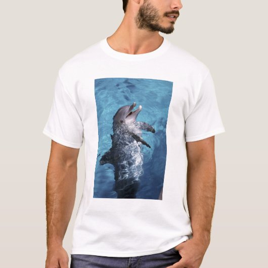 Noord-Amerika, VS, Hawaï. Dolfijn T-shirt (Voorkant)