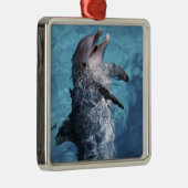 Noord-Amerika, VS, Hawaii. Dolfijn Metalen Ornament (Rechts)