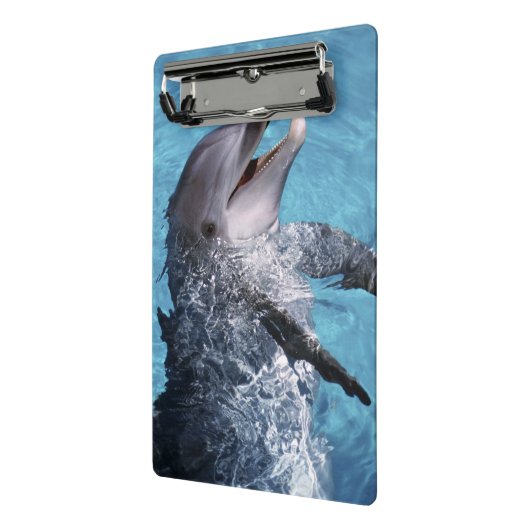 Noord-Amerika, VS, Hawaii. Dolfijn Mini Klembord (Angled2)