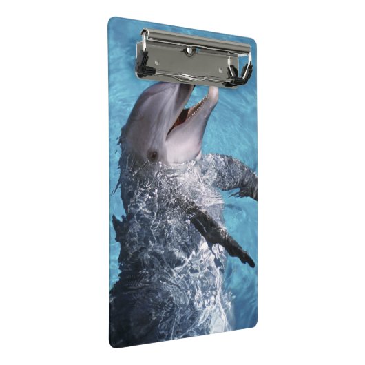 Noord-Amerika, VS, Hawaii. Dolfijn Mini Klembord (Schuin)