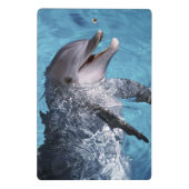 Noord-Amerika, VS, Hawaii. Dolfijn Mini Klembord (Achterkant)