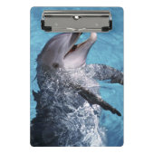 Noord-Amerika, VS, Hawaii. Dolfijn Mini Klembord (Voorkant)