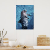 Noord-Amerika, VS, Hawaii. Dolfijn Poster (Keuken)