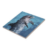 Noord-Amerika, VS, Hawaii. Dolfijn Tegeltje (Zijkant)