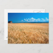 Noord-Amerika, VS, Idaho. Gerstveld in Briefkaart (Voorkant / Achterkant)