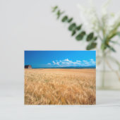 Noord-Amerika, VS, Idaho. Gerstveld in Briefkaart (Staand voorkant)