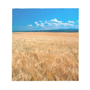 Noord-Amerika, VS, Idaho. Gerstveld in Notitieblok