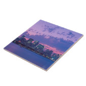 Noord-Amerika, VS, IL. Chicago skyline bij schemer Tegeltje (Zijkant)