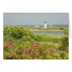 Noord-Amerika, VS, Massachusetts, Martha's