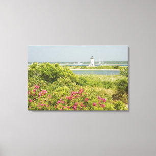 Noord-Amerika, VS, Massachusetts, Martha's Canvas Afdruk