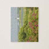 Noord-Amerika, VS, Massachusetts, Martha's Legpuzzel (Verticaal)