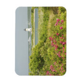 Noord-Amerika, VS, Massachusetts, Martha's Magneet (Verticaal)