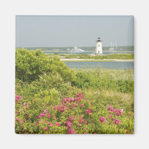 Noord-Amerika, VS, Massachusetts, Martha's Magneet