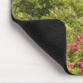 Noord-Amerika, VS, Massachusetts, Martha's Muismat (Hoek)