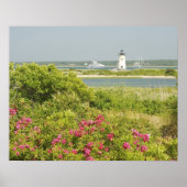 Noord-Amerika, VS, Massachusetts, Martha's Poster (Voorkant)