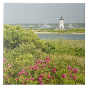 Noord-Amerika, VS, Massachusetts, Martha's Tegeltje