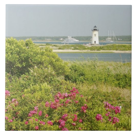 Noord-Amerika, VS, Massachusetts, Martha's Tegeltje (Voorkant)