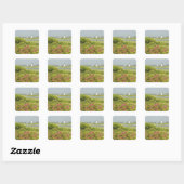 Noord-Amerika, VS, Massachusetts, Martha's Vierkante Sticker (Vel)