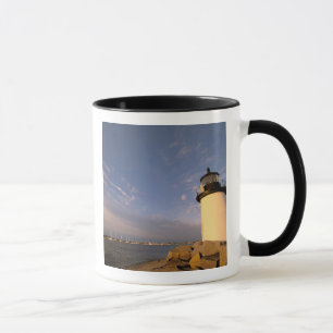 Noord-Amerika, VS, Massachusetts, Nantucket Mok