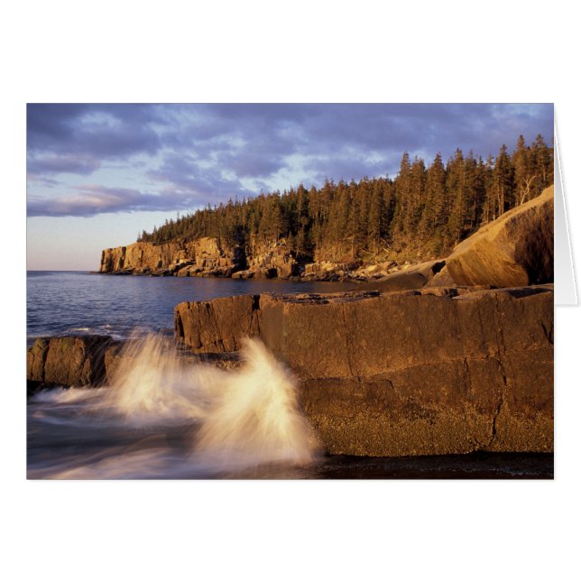 Noord-Amerika, VS, ME, de rotsachtige Maine kust. (Voorkant Horizontaal)