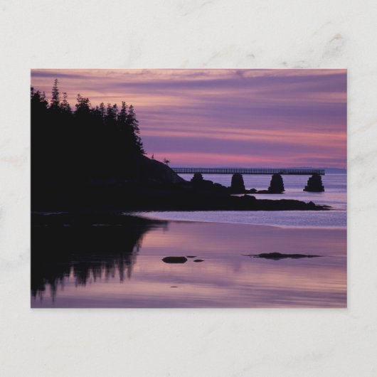 Noord-Amerika, VS, ME, Isle Au Haut. Duck Briefkaart (Voorkant)