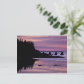 Noord-Amerika, VS, ME, Isle Au Haut. Duck Briefkaart (Staand voorkant)