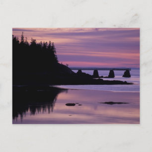 Noord-Amerika, VS, ME, Isle Au Haut. Duck Briefkaart