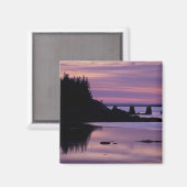 Noord-Amerika, VS, ME, Isle Au Haut. Duck Magneet (Voorkant / Achterkant)