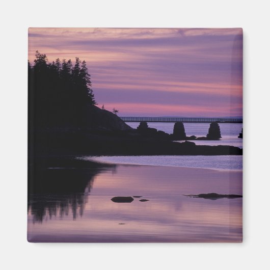 Noord-Amerika, VS, ME, Isle Au Haut. Duck Magneet (Voorkant)