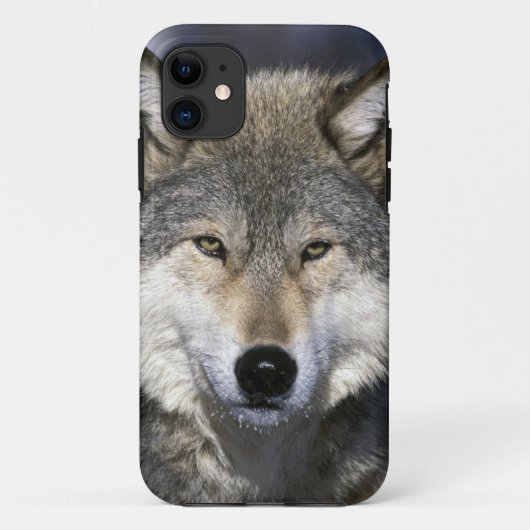 Noord-Amerika, VS, Minnesota. Wolf Canis Case-Mate iPhone Case (Achterkant)