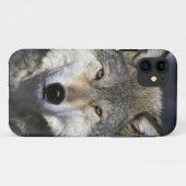 Noord-Amerika, VS, Minnesota. Wolf Canis Case-Mate iPhone Case (Achterkant (horizontaal))