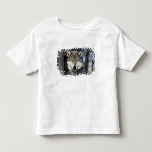 Noord-Amerika, VS, Minnesota. Wolf Canis Kinder Shirts