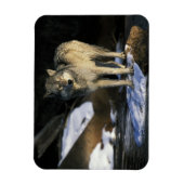 Noord-Amerika, VS, Minnesota. Wolf (Canis Magneet (Verticaal)