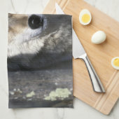 Noord-Amerika, VS, Minnesota. Wolf Canis Theedoek (Quarter Fold)