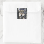 Noord-Amerika, VS, Minnesota. Wolf Canis Vierkante Sticker (Tas)