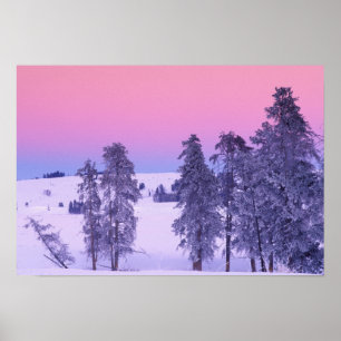 Noord-Amerika, VS, Montana, geelsteen Poster