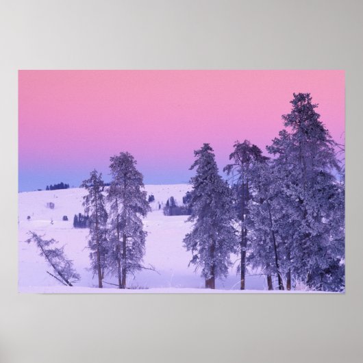 Noord-Amerika, VS, Montana, geelsteen Poster (Voorkant)