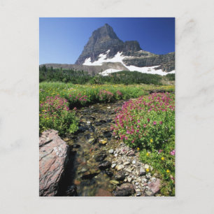 Noord-Amerika, VS, Montana, Glacier National 3 Briefkaart