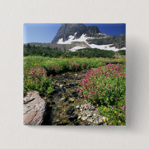 Noord-Amerika, VS, Montana, Glacier National 3 Vierkante Button 5,1 Cm