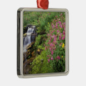 Noord-Amerika, VS, Montana, Glacier National 4 Metalen Ornament (Rechts)