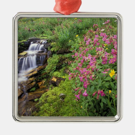 Noord-Amerika, VS, Montana, Glacier National 4 Metalen Ornament (Voorkant)
