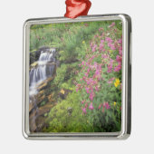 Noord-Amerika, VS, Montana, Glacier National 4 Metalen Ornament (Links)