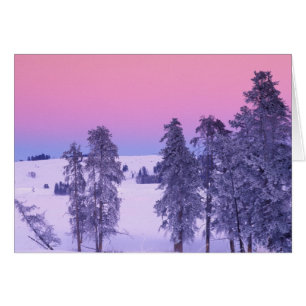 Noord-Amerika, VS, Montana, Yellowstone