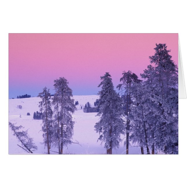 Noord-Amerika, VS, Montana, Yellowstone (Voorkant Horizontaal)