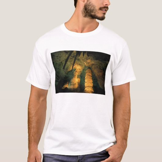 Noord-Amerika, VS, New Mexico, Carlsbad T-shirt (Voorkant)