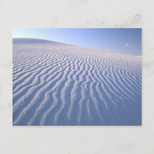 Noord-Amerika, VS, New Mexico, Witte Zandduinen Briefkaart