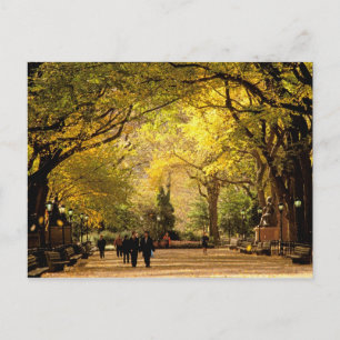 Noord-Amerika, VS, New York, New York City. 12 Briefkaart