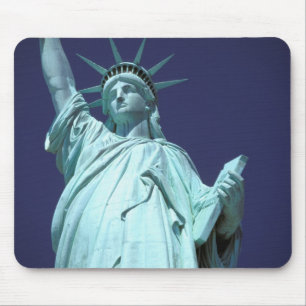Noord-Amerika, VS, New York, New York City. 7 Muismat